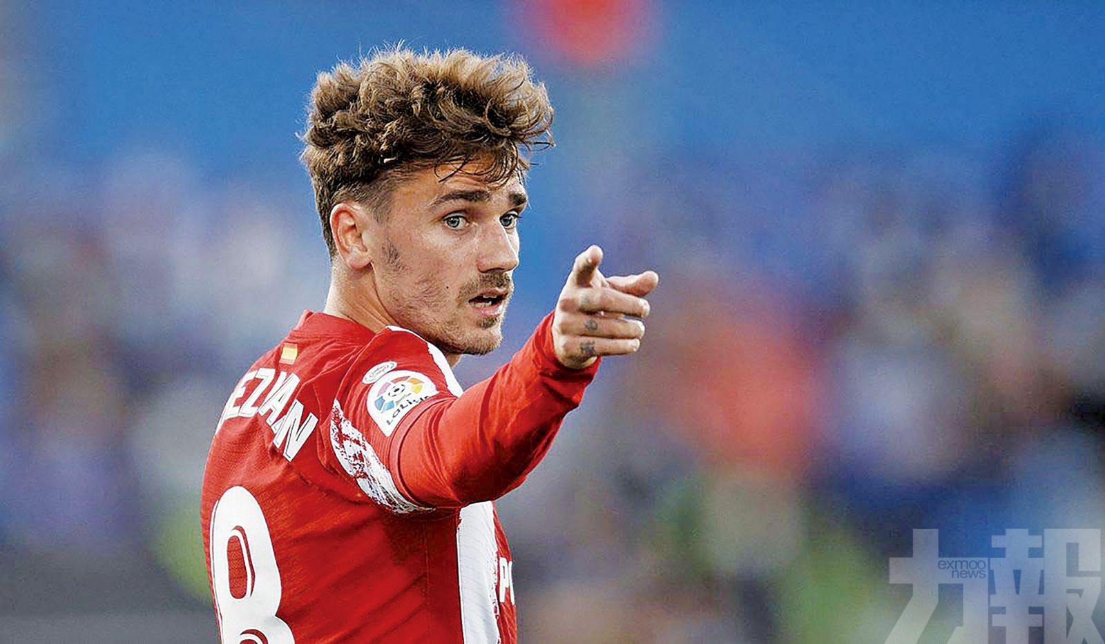 盼長留床單軍團